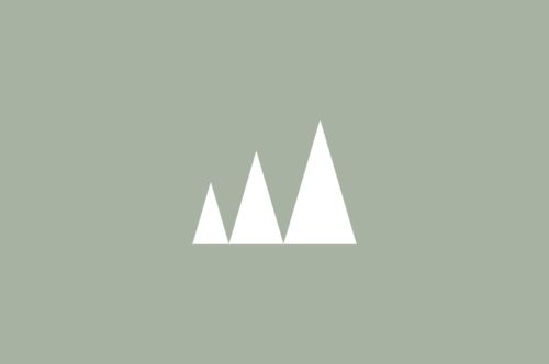 视觉之境 Wildist 摄影师创意社区的品牌形象塑造